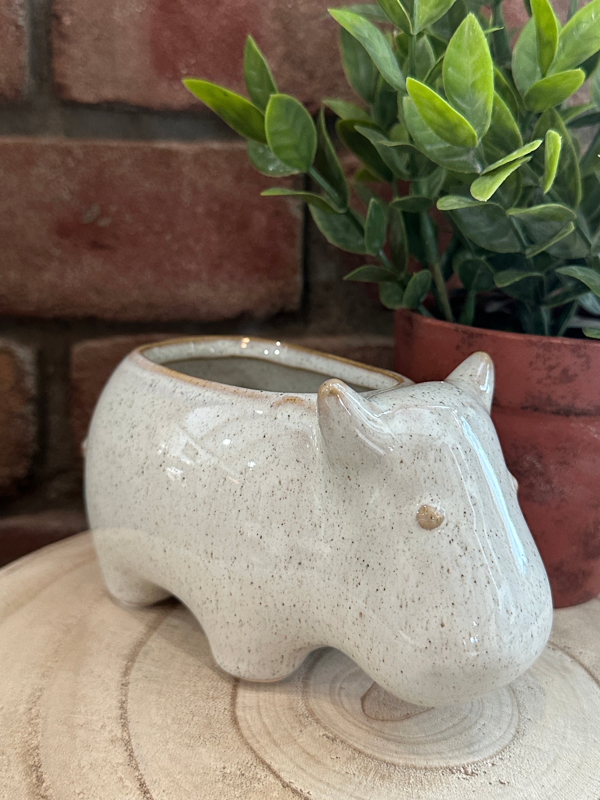 Hippo Planter