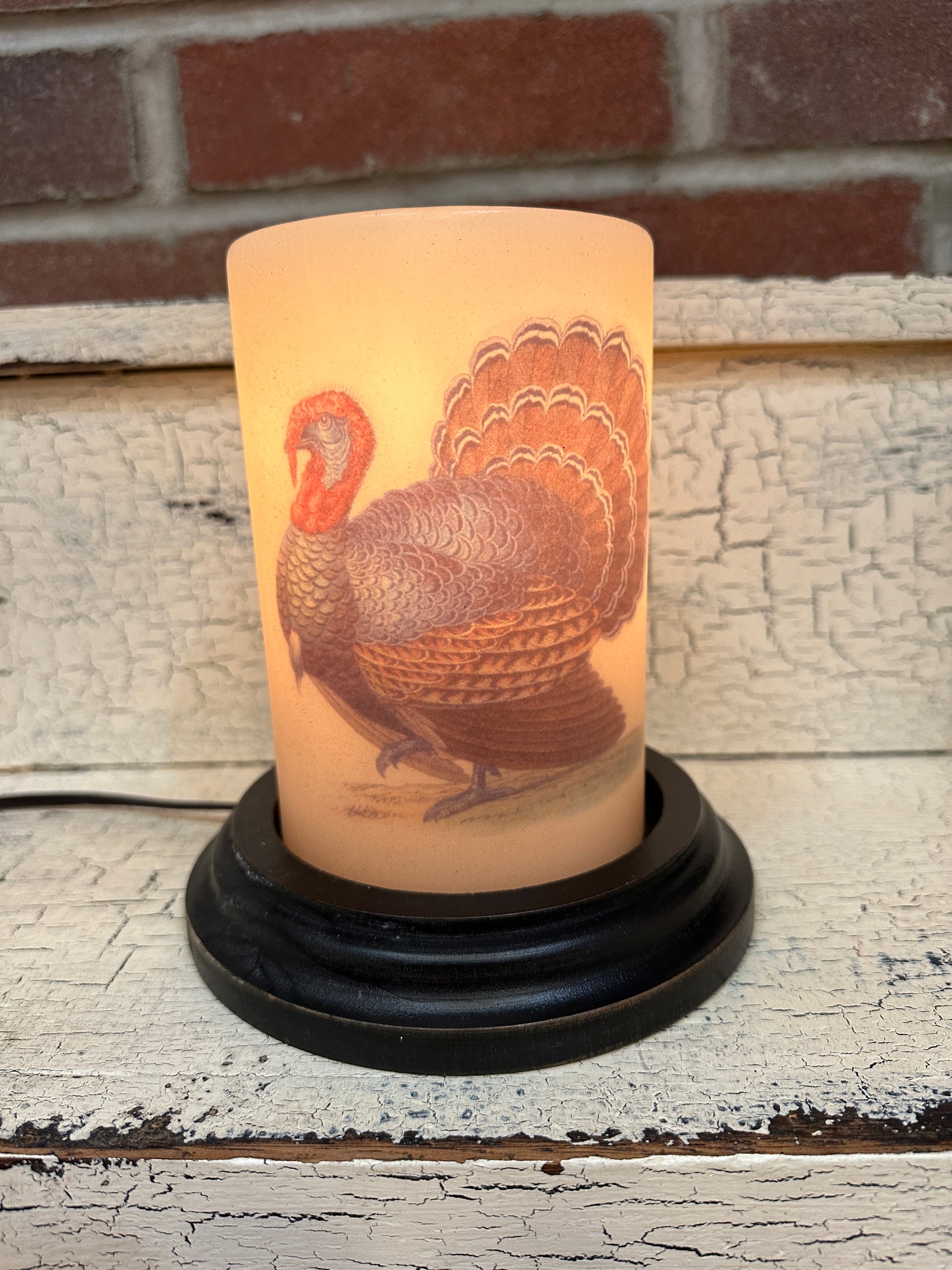 Large Turkey Candle Sleeve