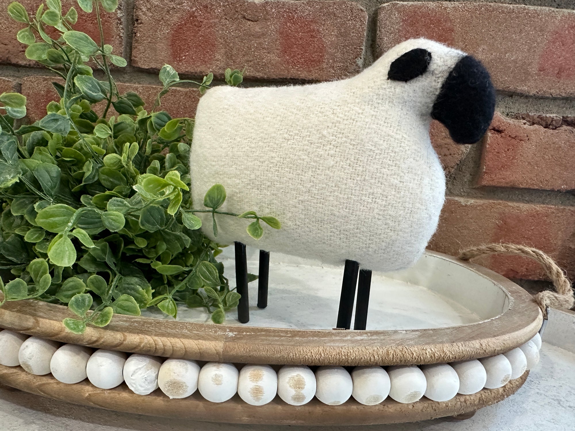 Buttermilk Wool Sheep