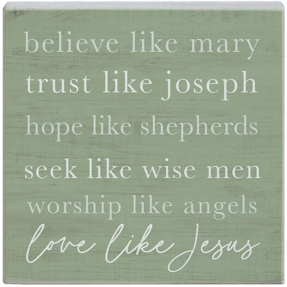 Believe Like Mary Wood Block Sign