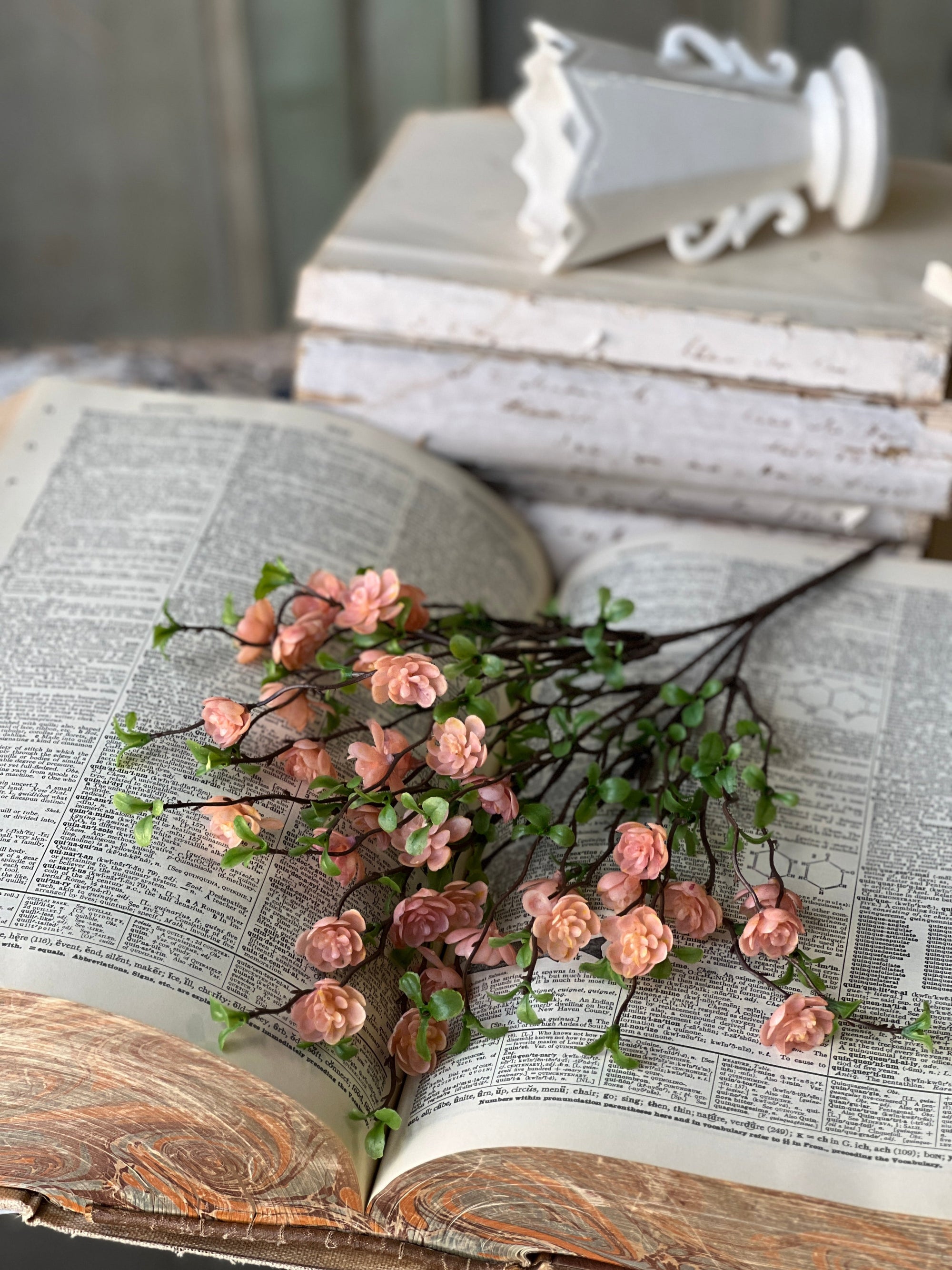 Quince Bush - Light Pink