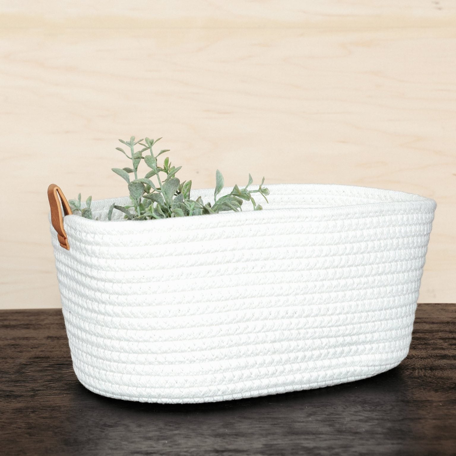 Large Ivory Basket