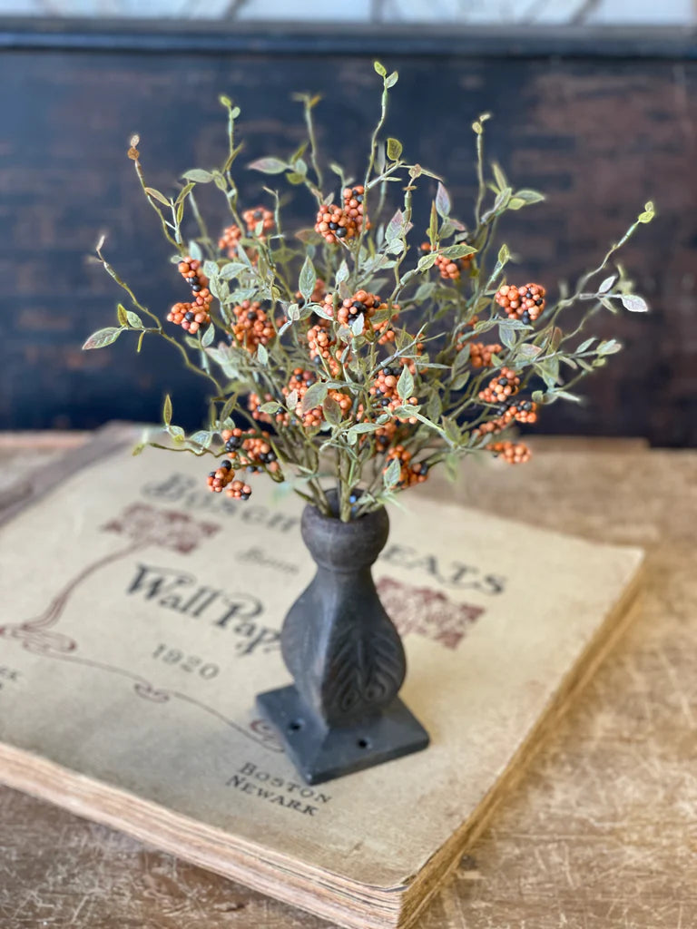 Hasp Berry Bush - Pumpkin