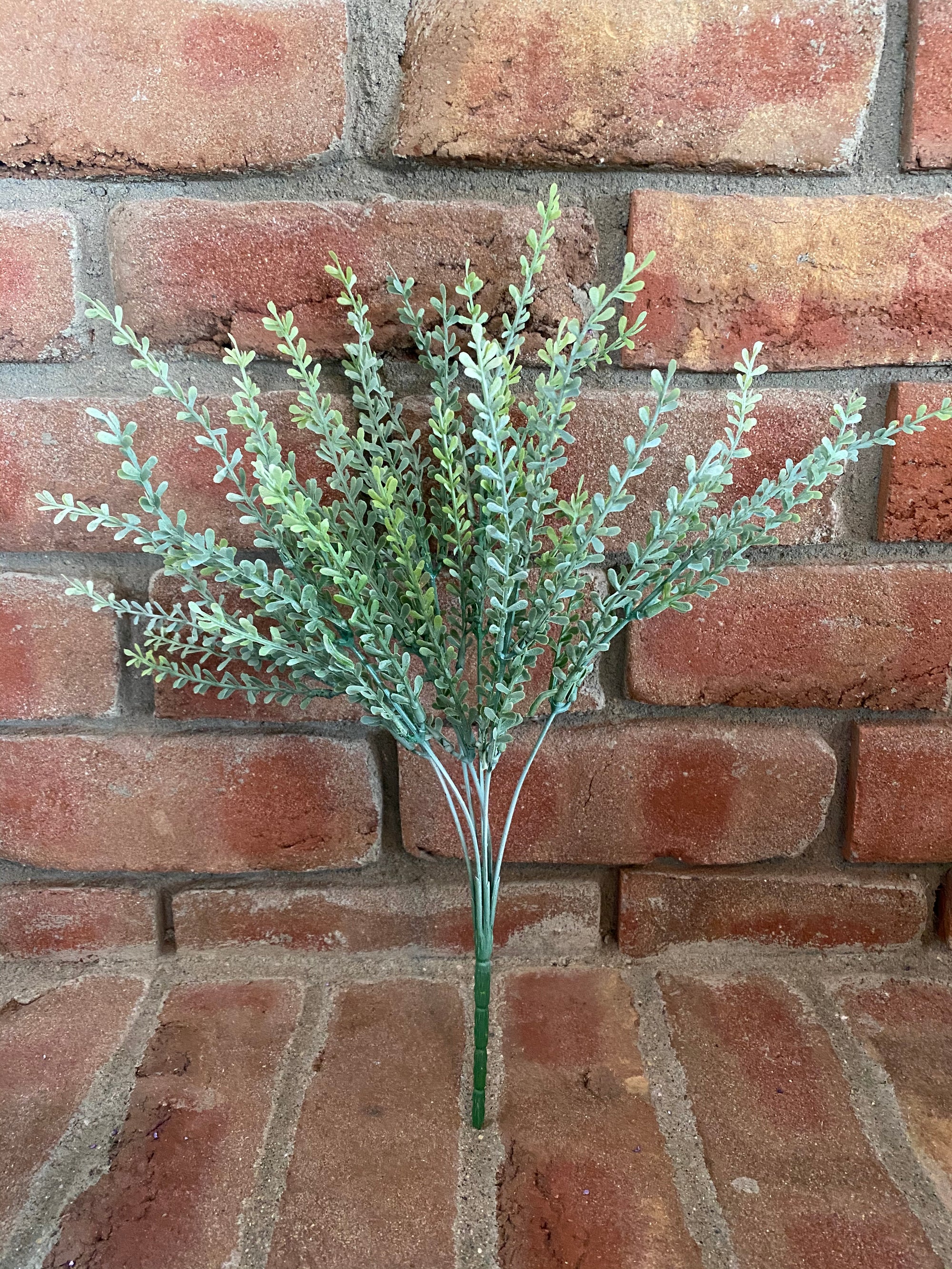 Leaf Foliage Bush