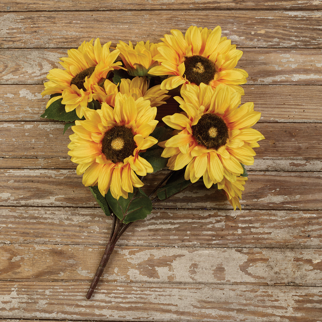 Sunflower Bush