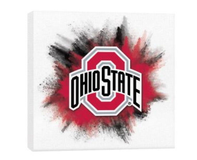 Ohio State Color Splash Canvas