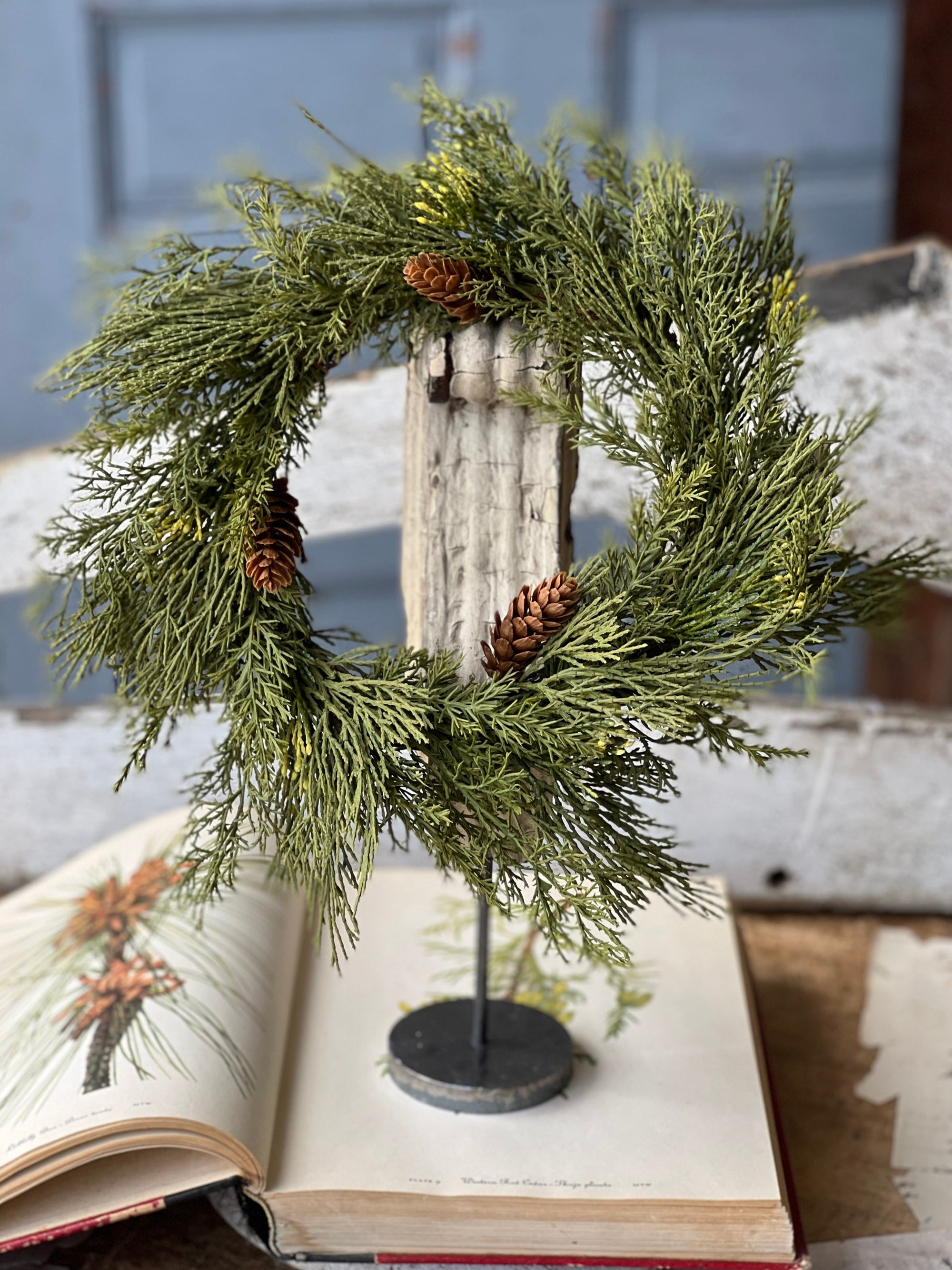 Alpine Cedar Candle Ring - Large