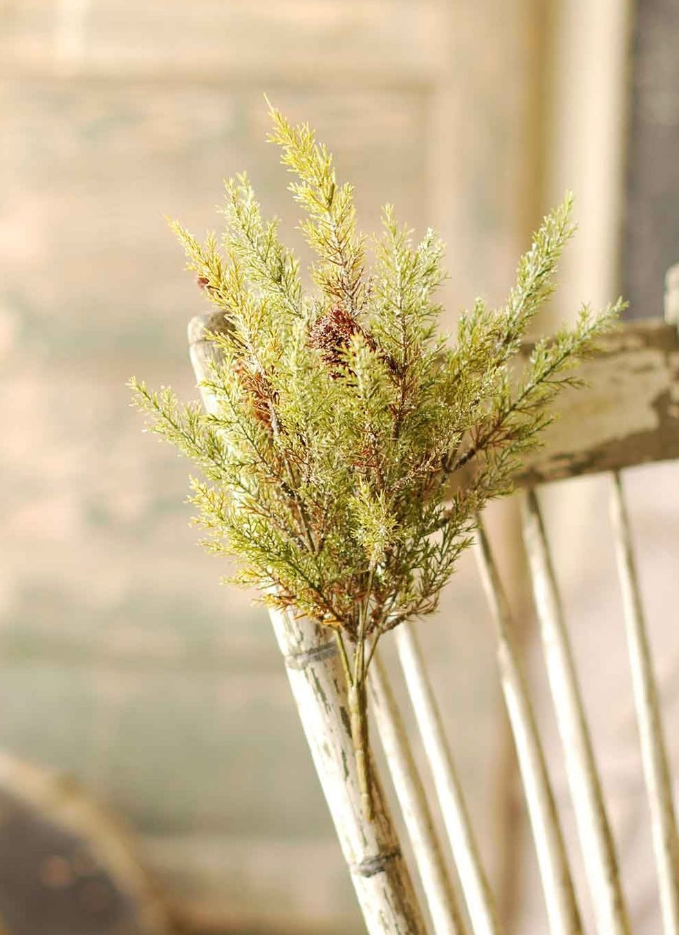 Prickly Pine Snow Pick