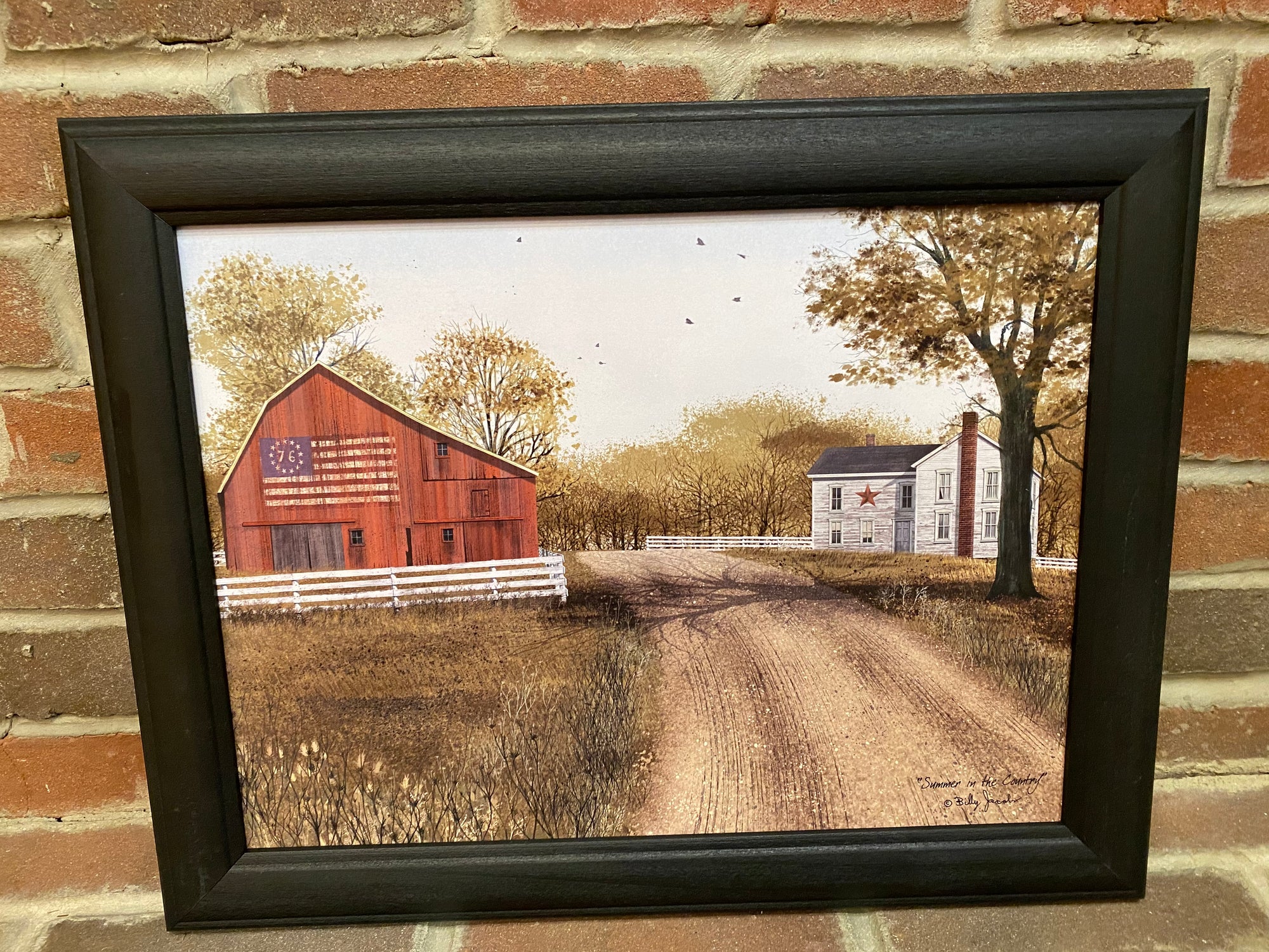 Summer in the Country Framed Print