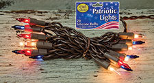 20 Count Patriotic Light Strand