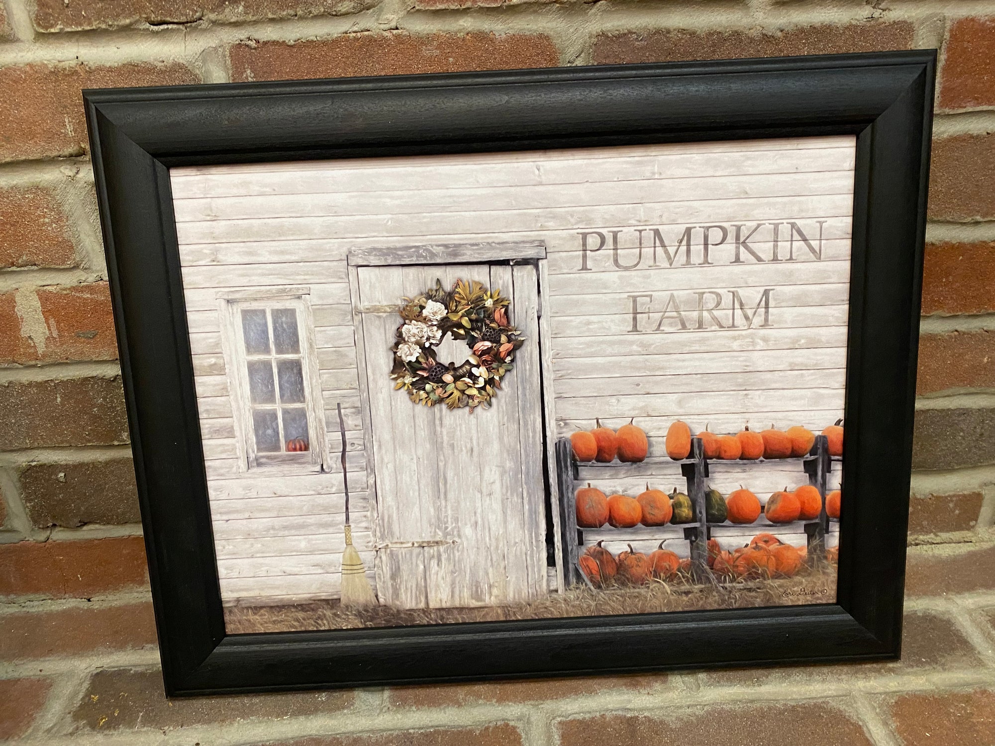 Pumpkin Farm Framed Print