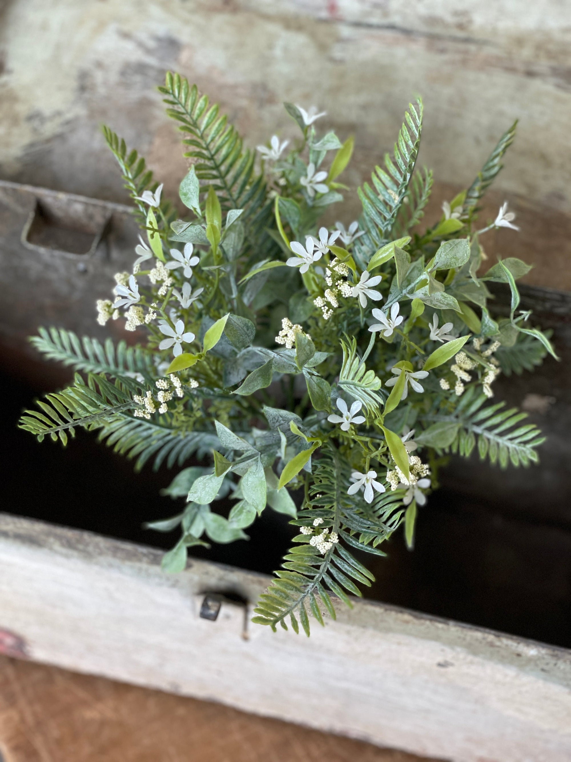 Fernshot Blooms Bush - Cream