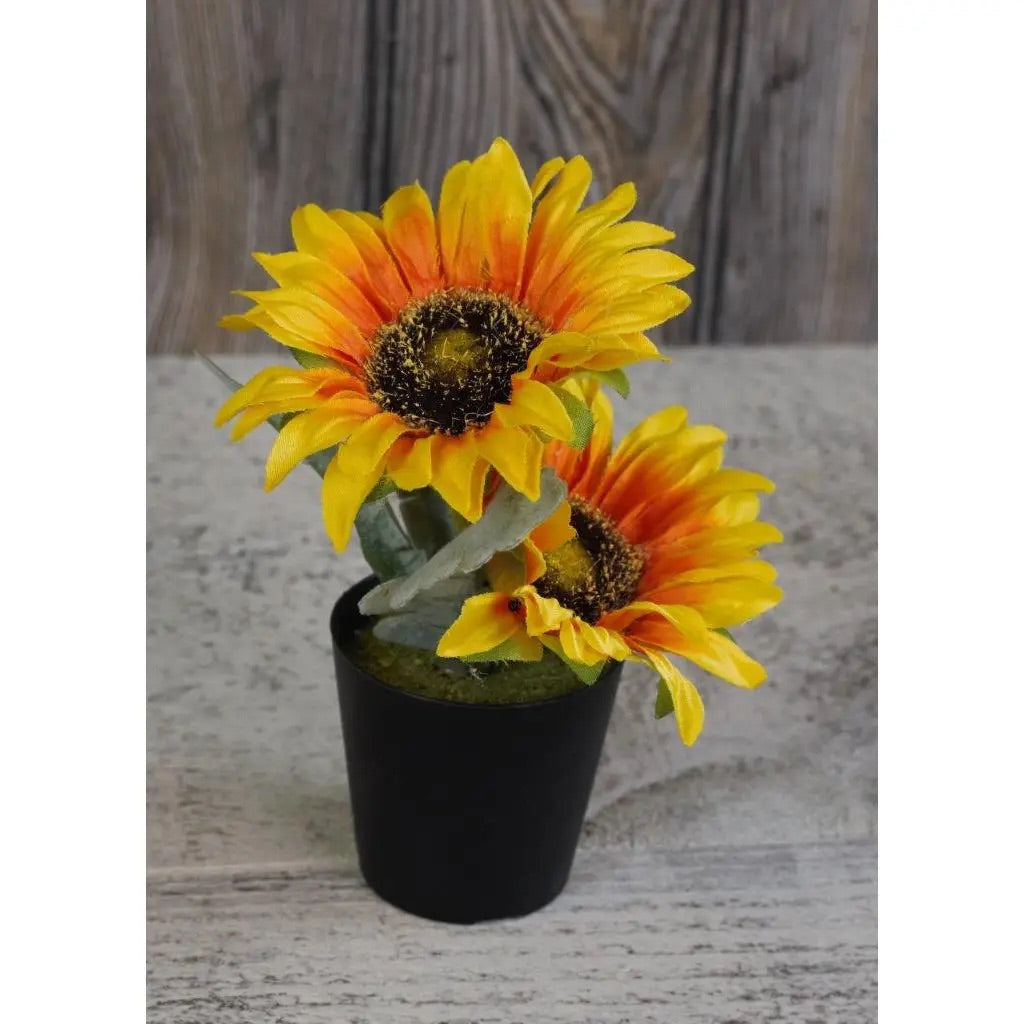 Sunflower Pot