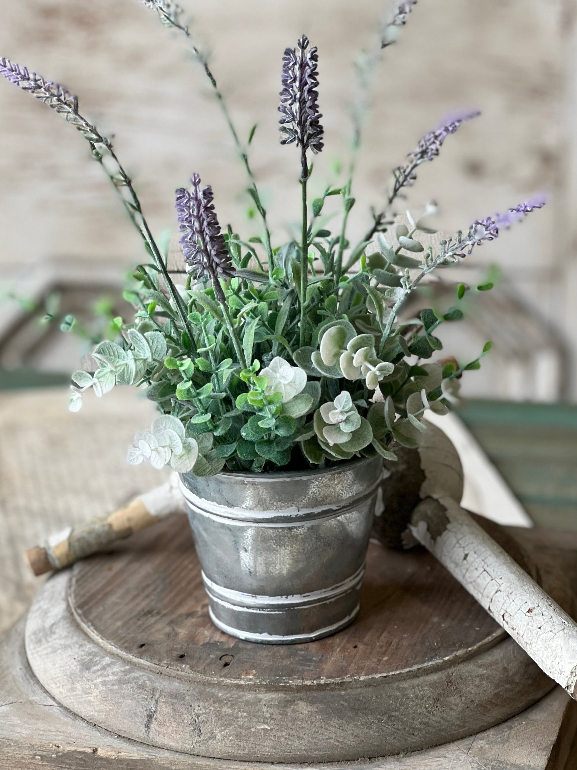 Potted Laughing Lavender