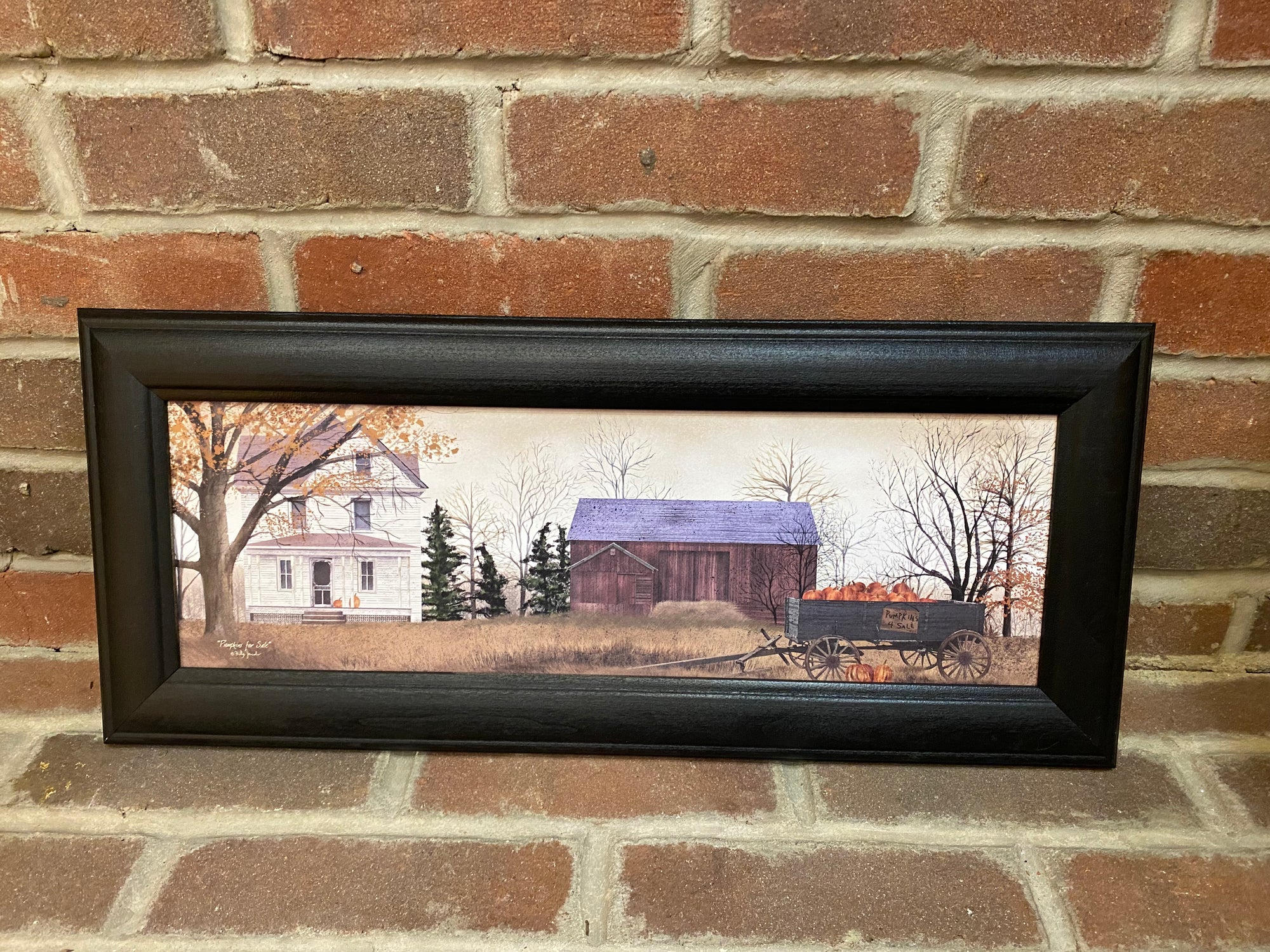 Pumpkins for Sale Framed Print