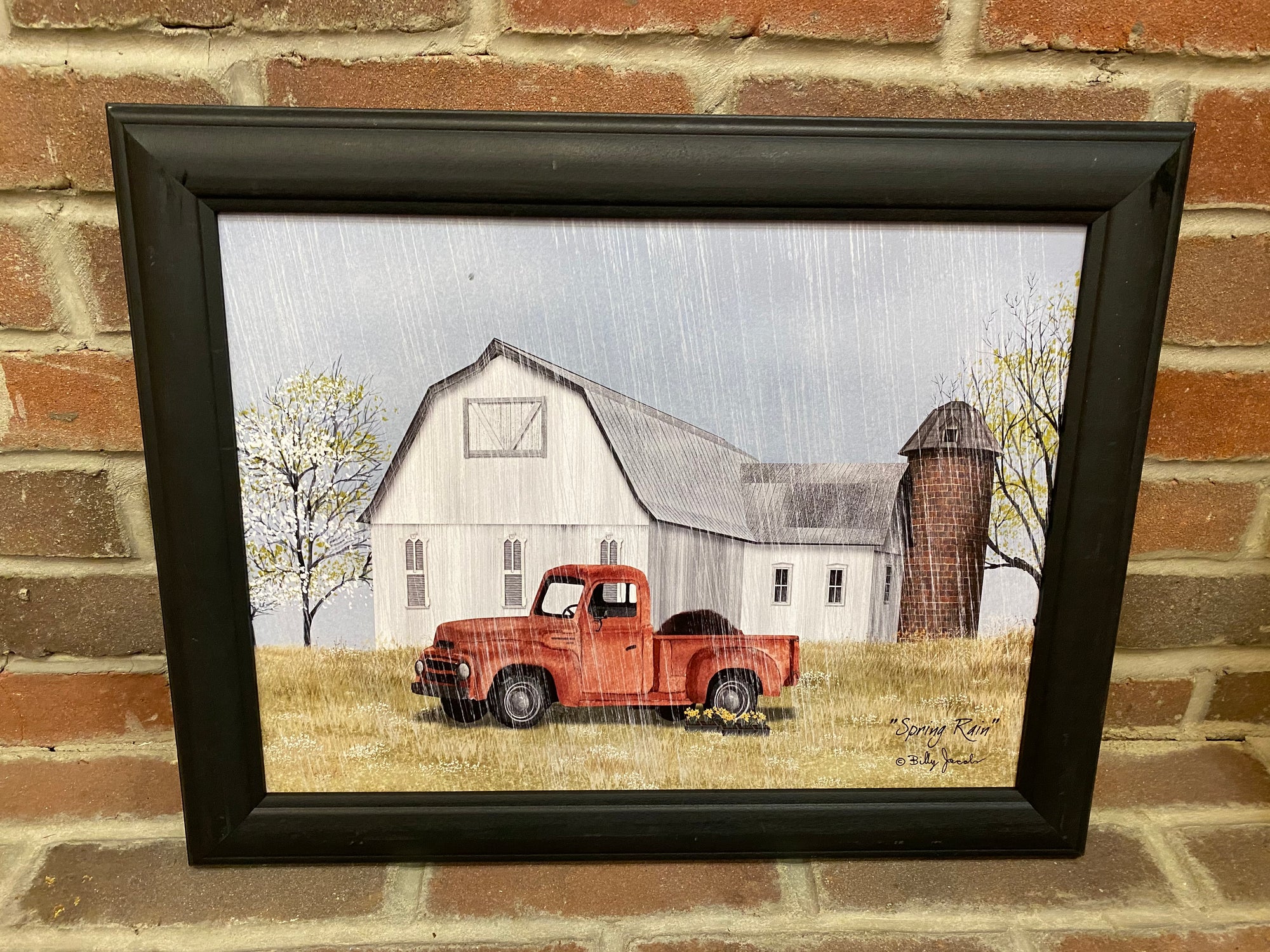 Spring Rain Framed Print