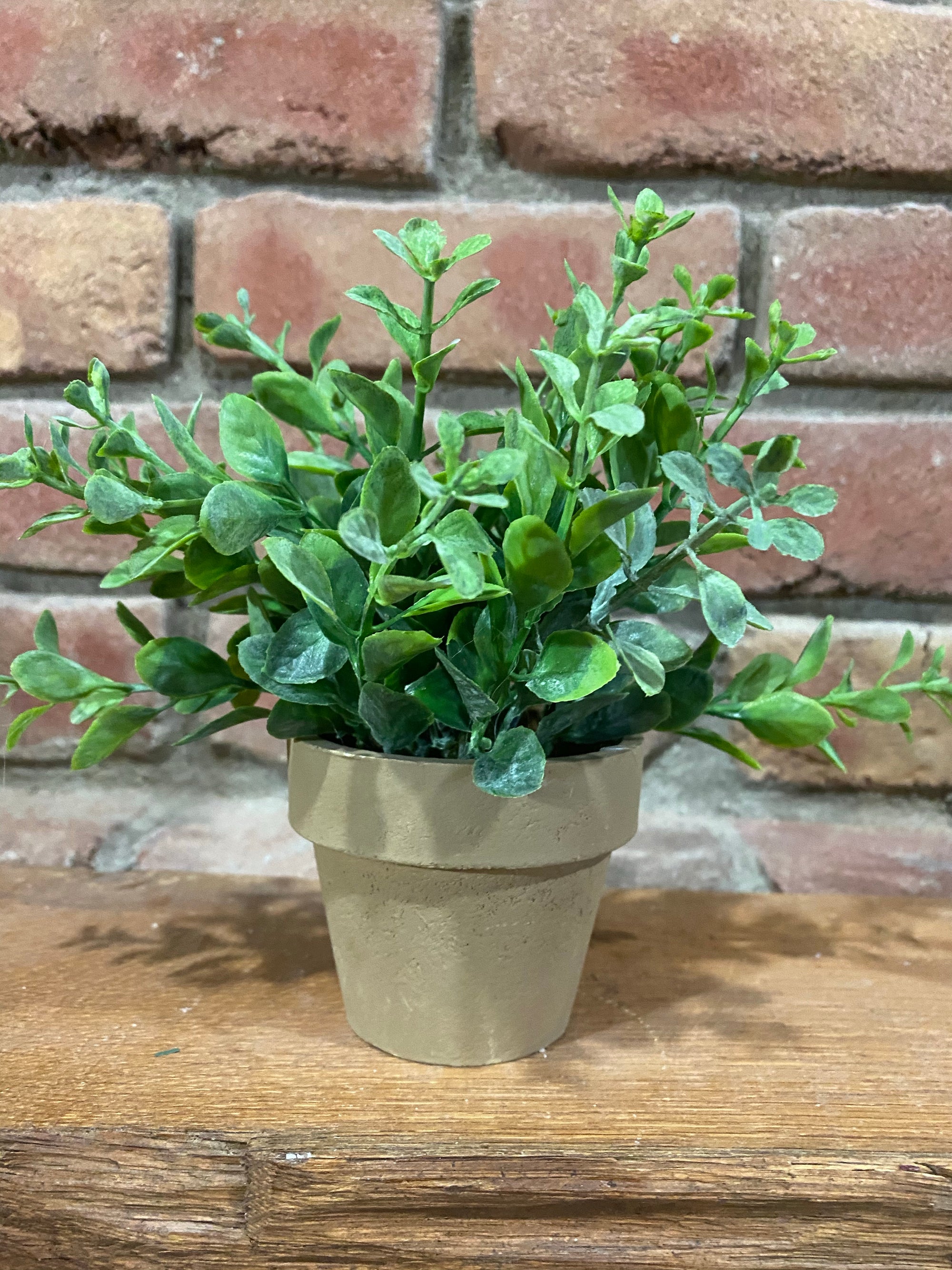 Gatehouse Herb Pot No. 2