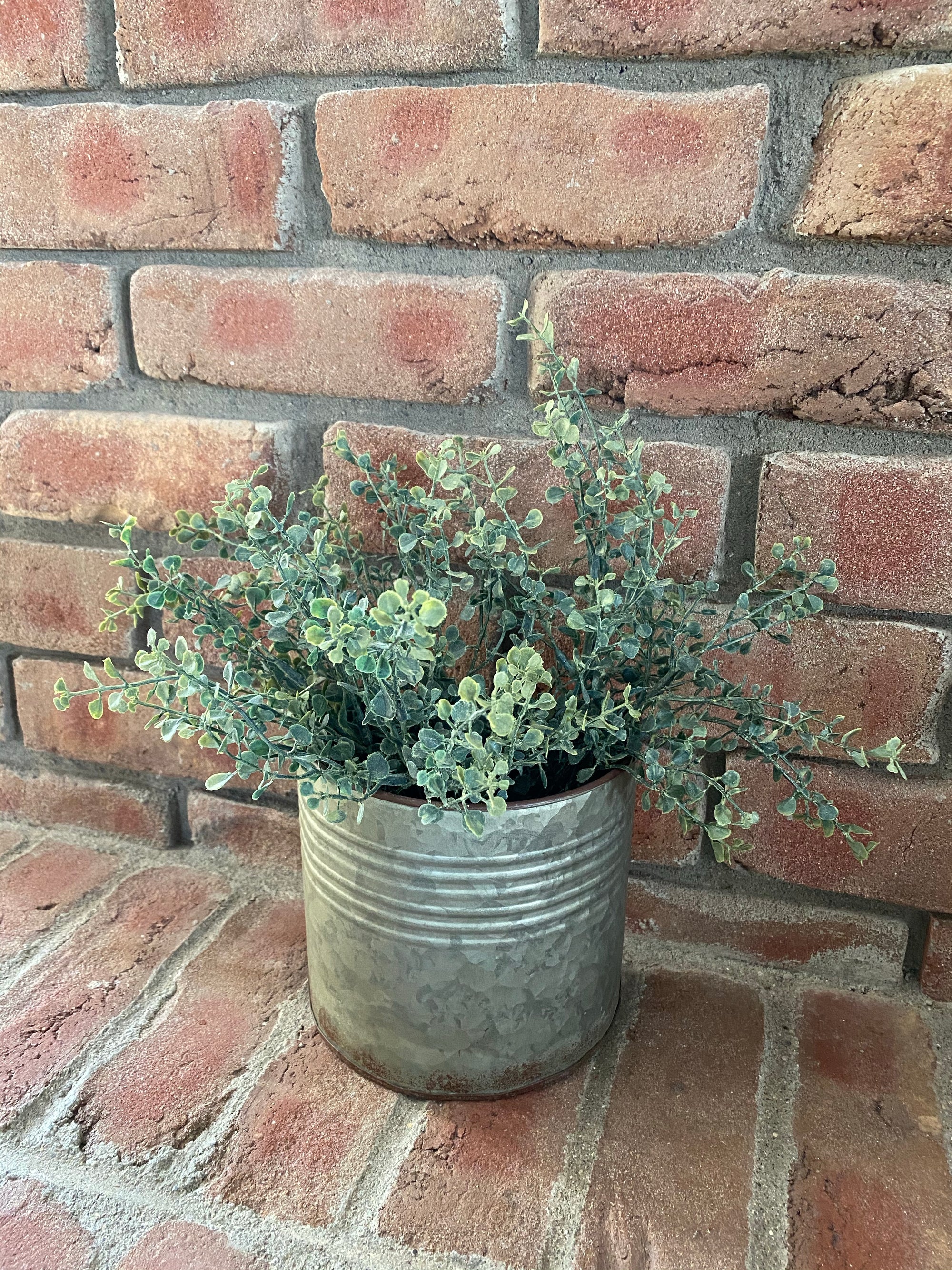 Galvanized Semicircle Bucket with Baby’s Grass Arrangement