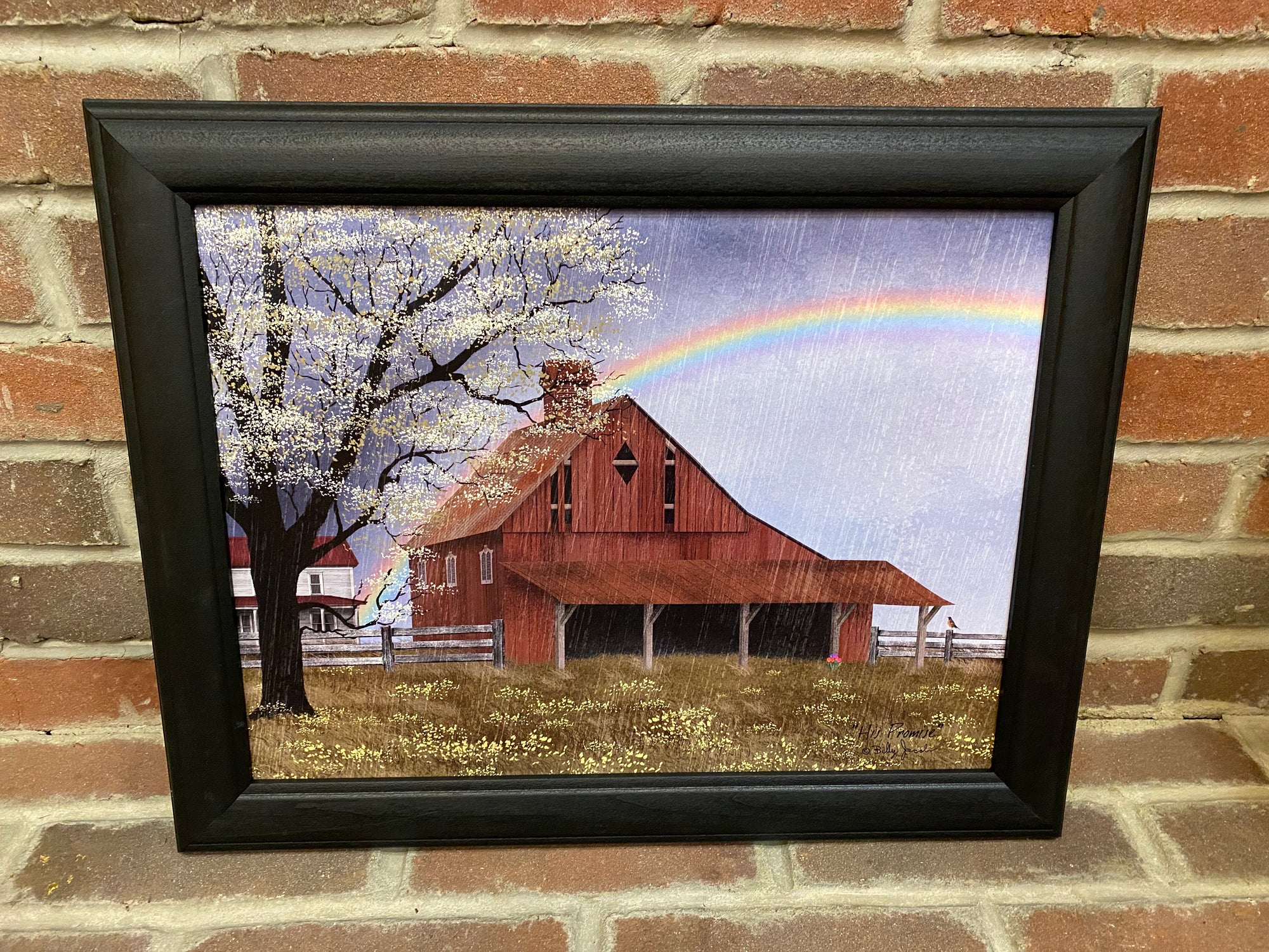 His Promise Framed Print