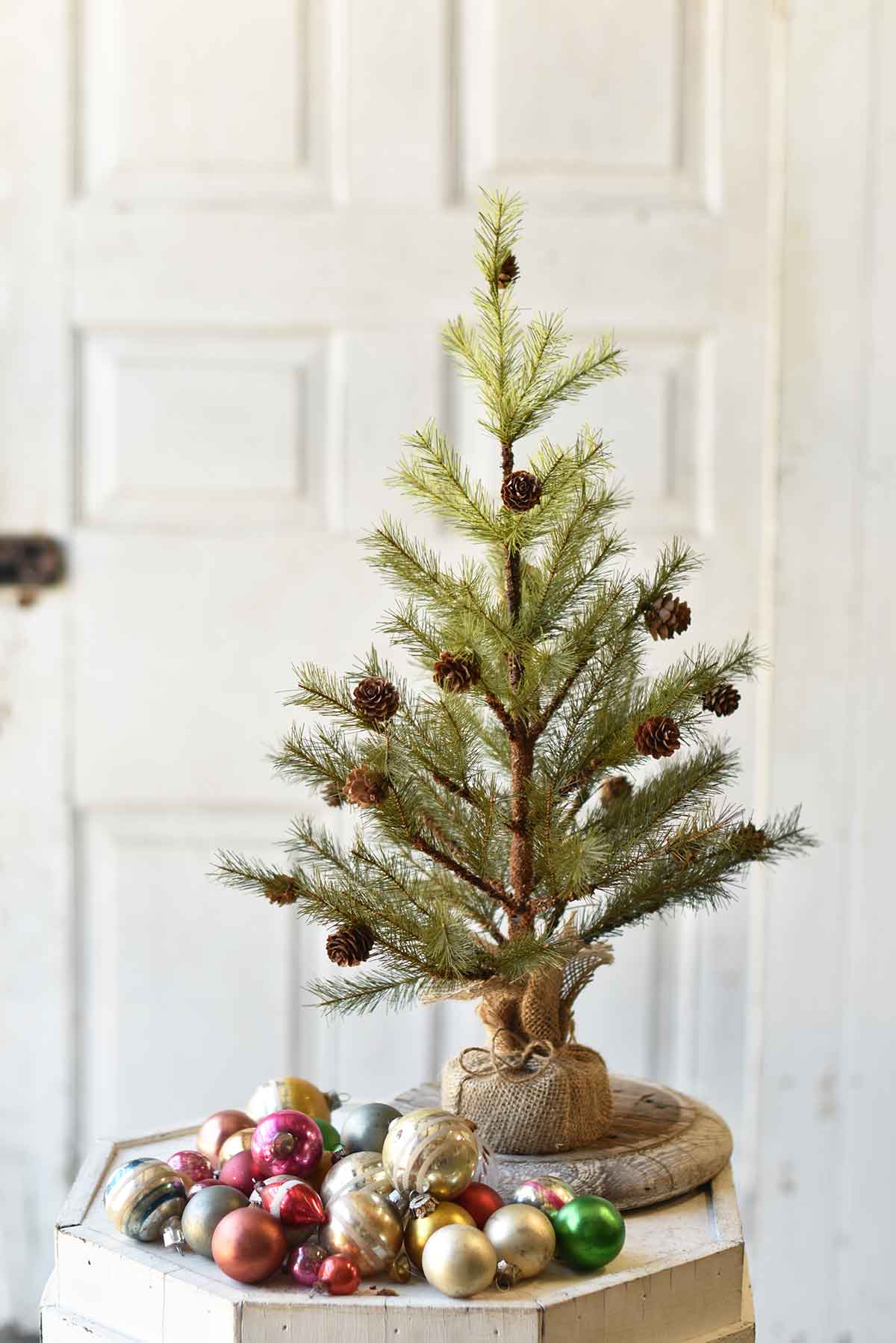 Pine Tree with Cones & Burlap 24”