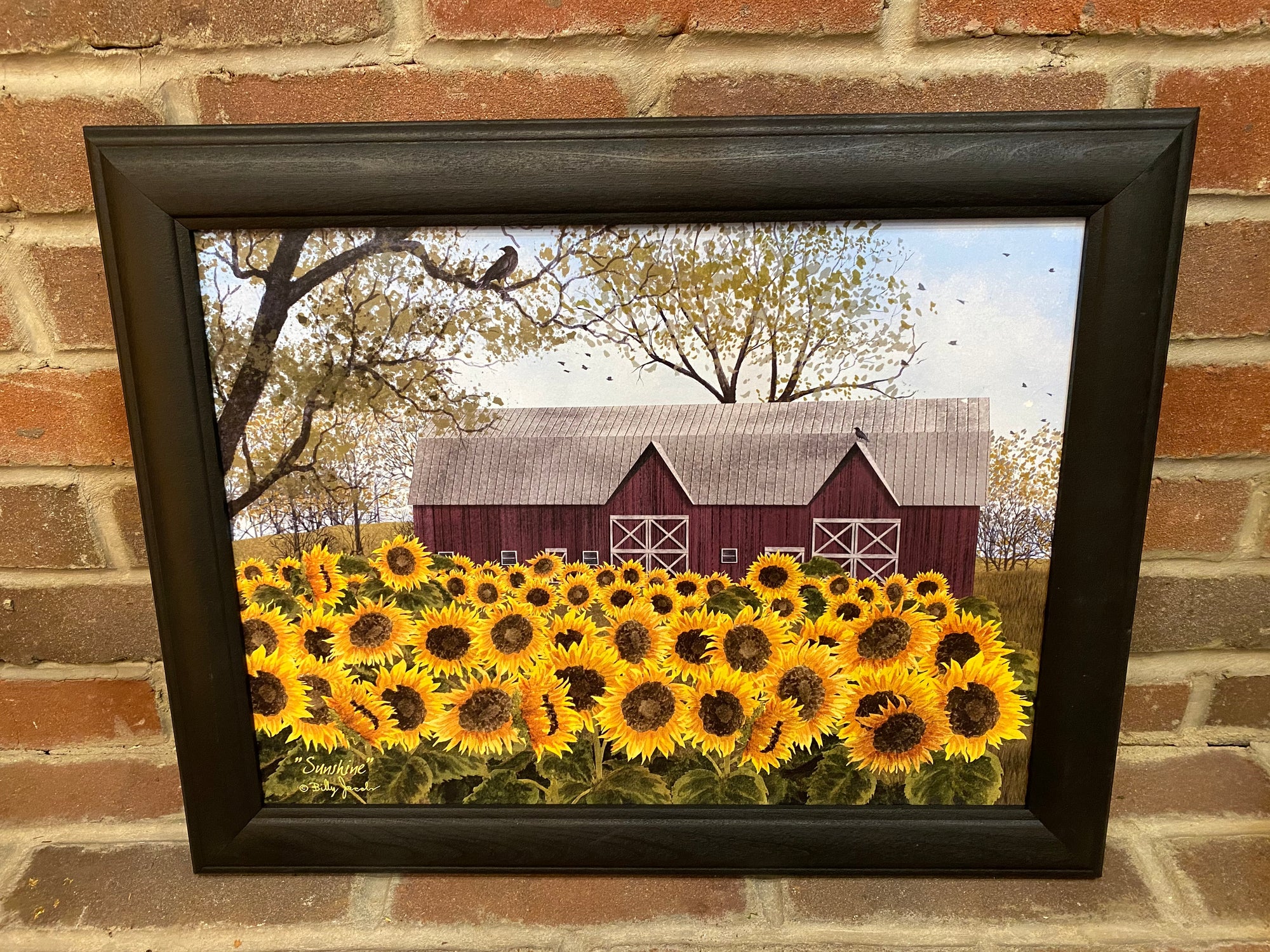 Sunshine Framed Print